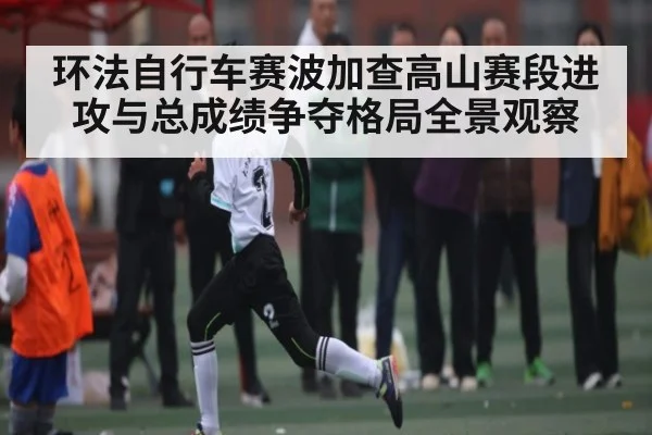 环法自行车赛波加查高山赛段进攻与总成绩争夺格局全景观察